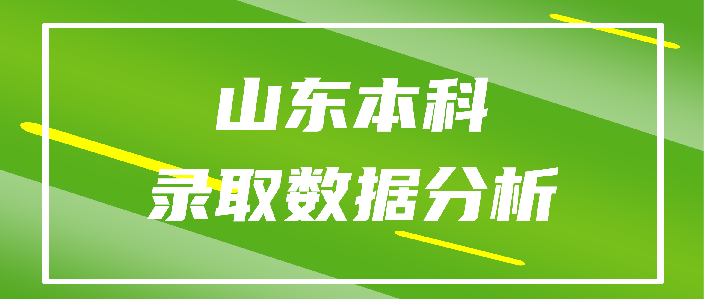 山东本科录取大数据分析